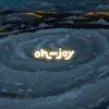 oh, the joy. - Window Through Time - Single